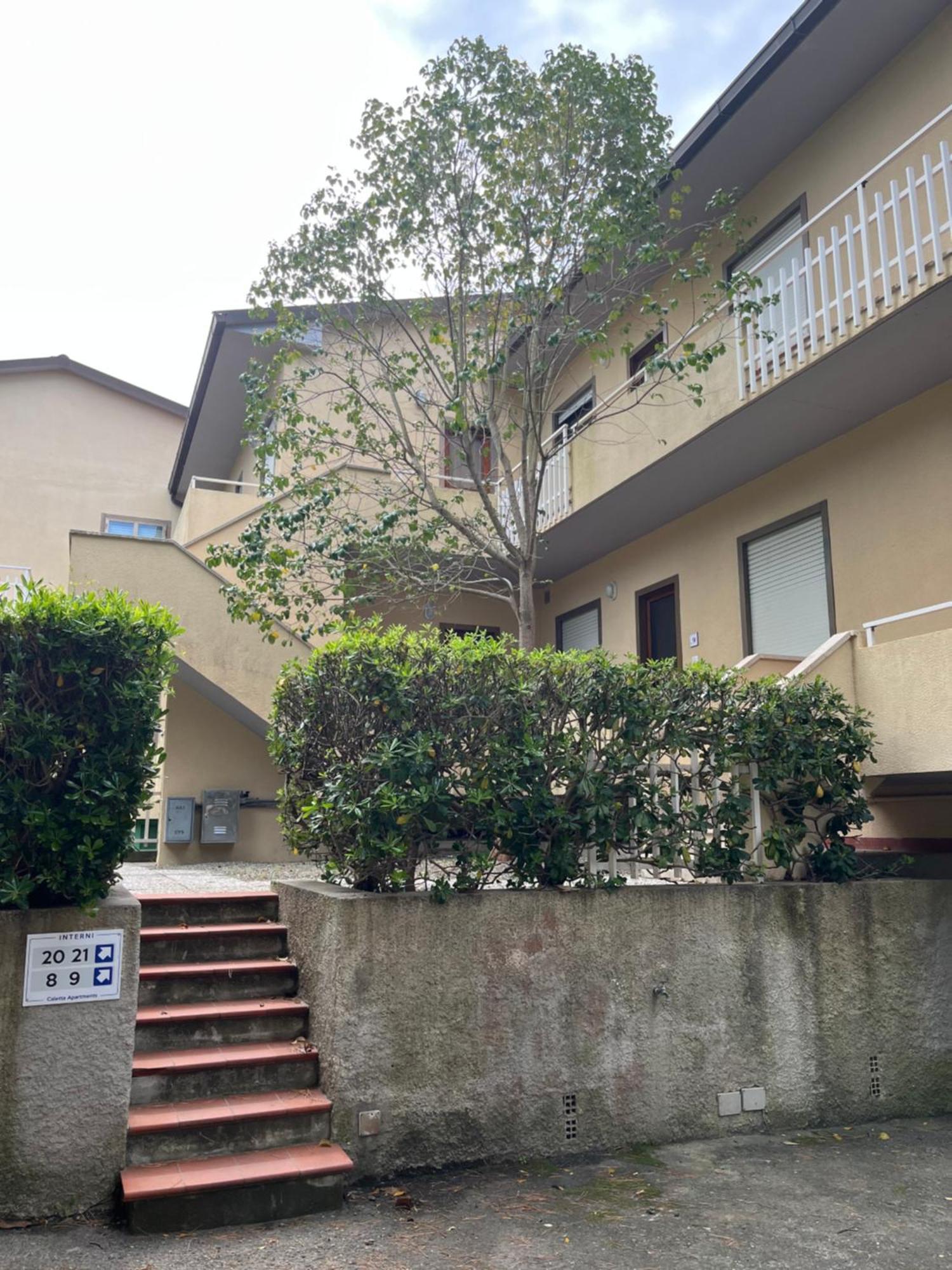 Caletta Apartments Castiglioncello Buitenkant foto